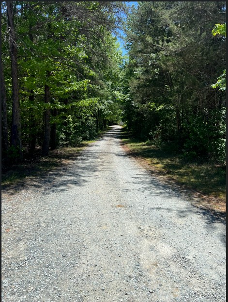 Historic wooded gravel path once used for walking funeral processions to Snow Hill Cemetery