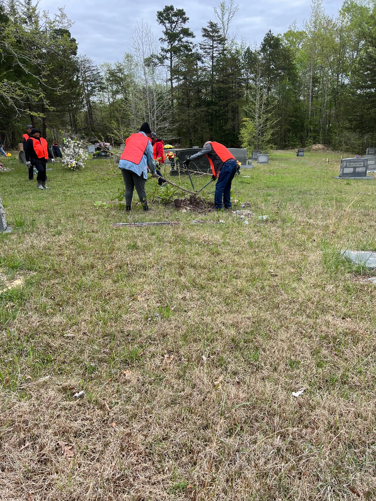 Clearing brush during cleanup
